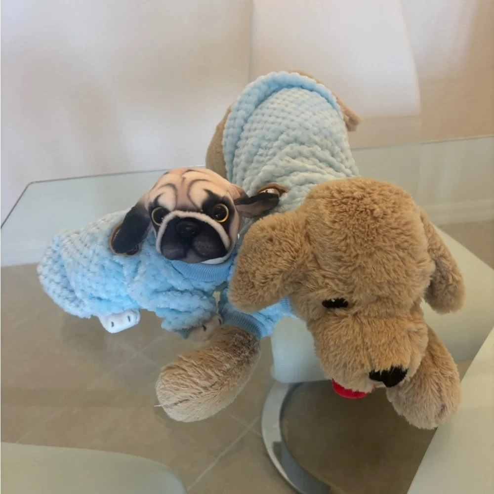 Blue Plush Dog Toy